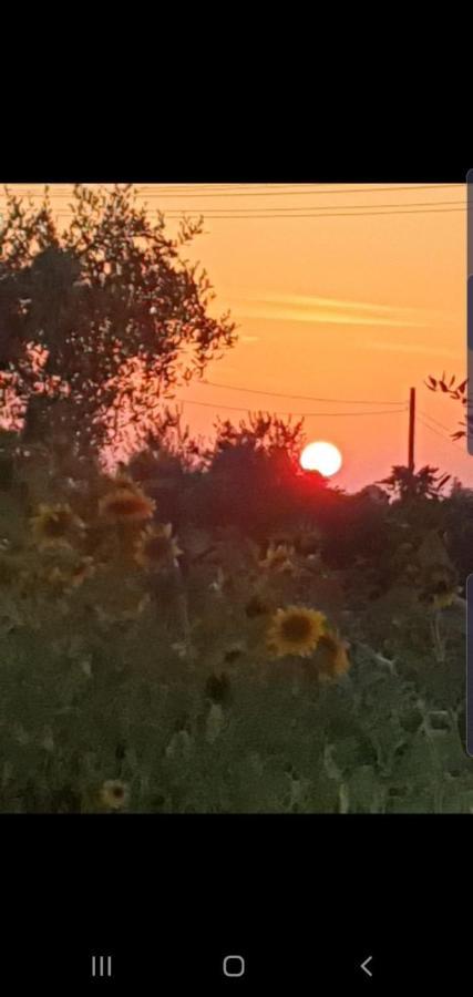 Trulli Selva E Natura Gio'.Ele Alberobello Zewnętrze zdjęcie